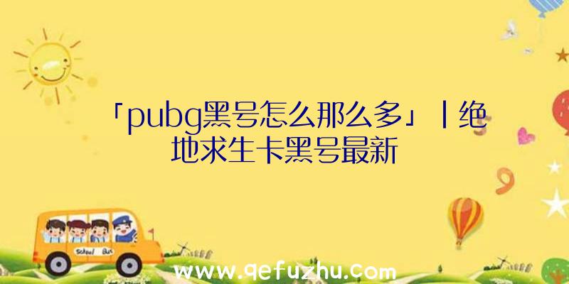 「pubg黑号怎么那么多」|绝地求生卡黑号最新